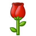 10480_zfac_4817.png