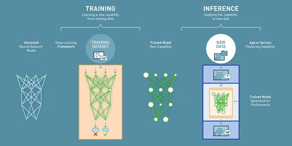 Discover the Difference Between Deep Learning Training and Inference |  Exxact Blog