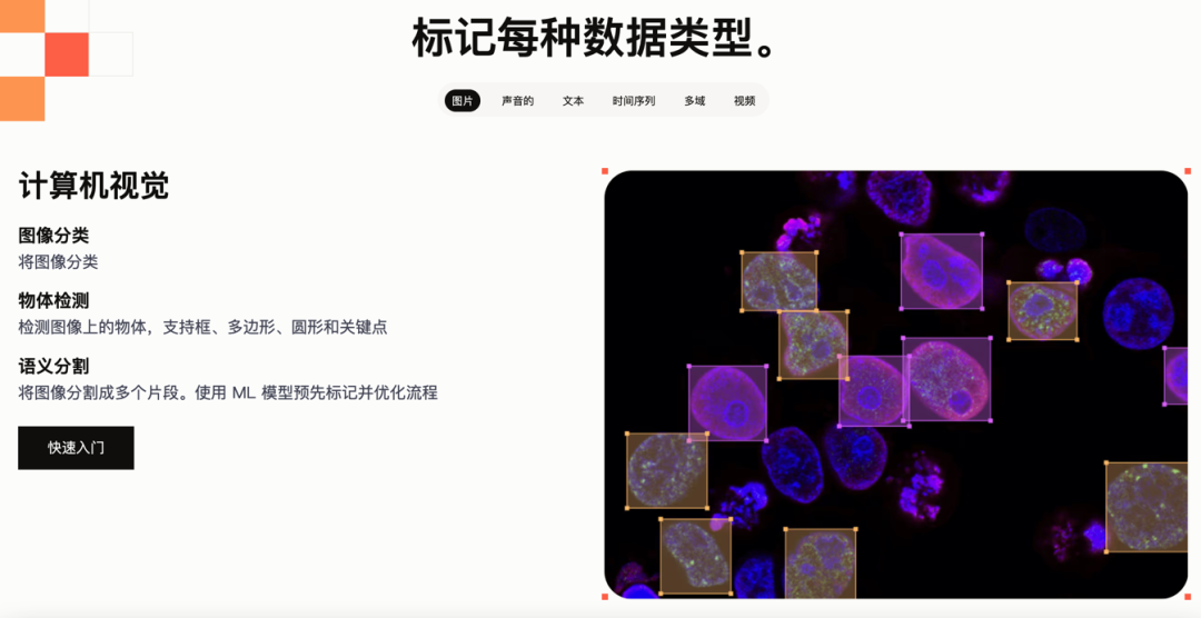 10174_magn_3384.png