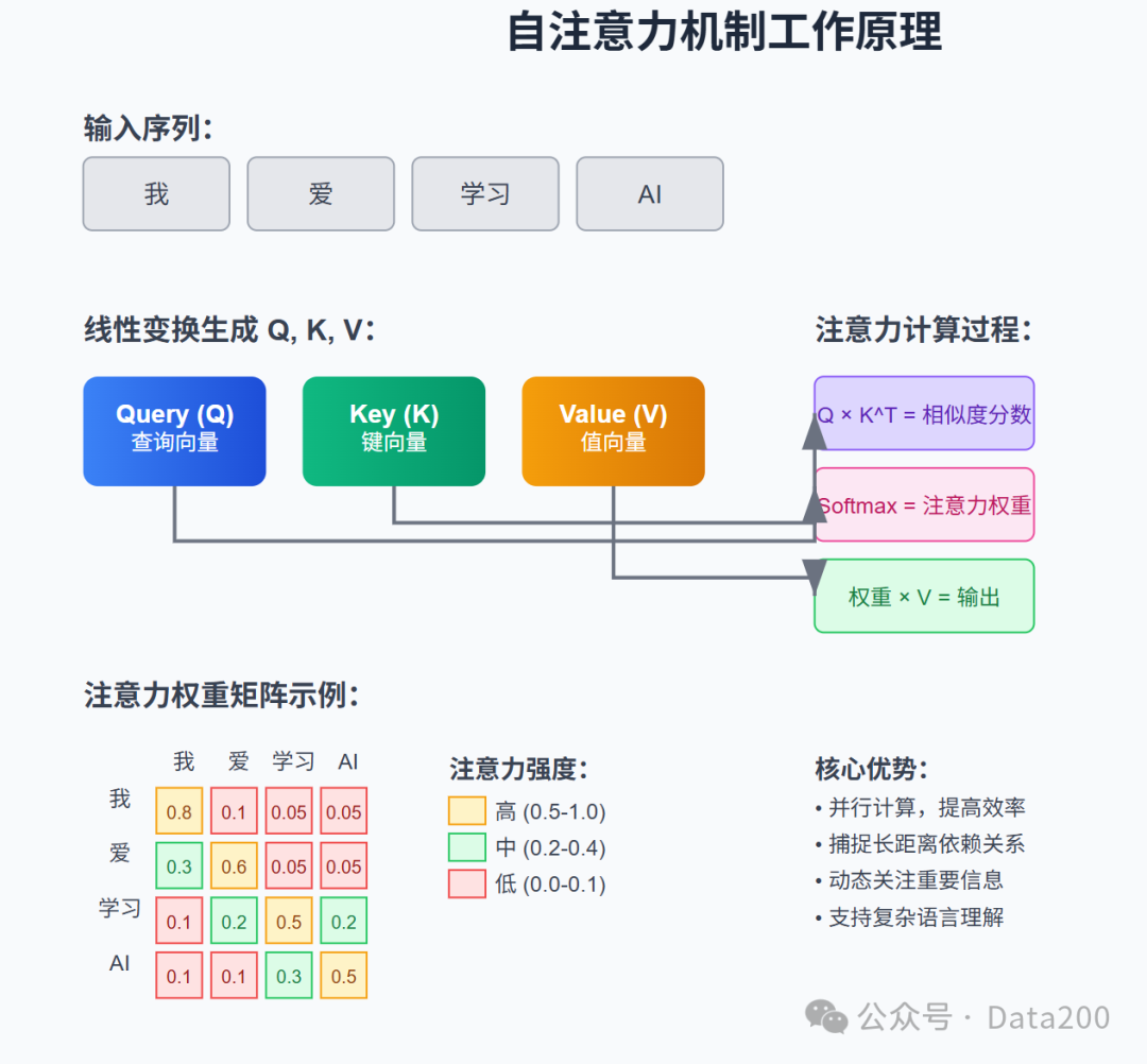 8209_myru_4955.png
